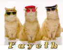 Fayeth