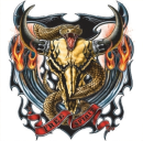 Free Spirit Eagle