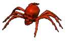 spider skull