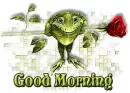 good morning frog