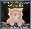 cat with a idea