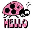 ladybug hello
