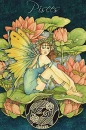 Pisces Fairy