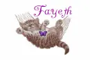 Fayeth-kitten in hammock