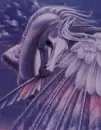 Pegasus wonder