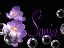Sonia-flower-bubbles