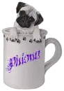 Phiona