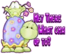 Turtle Frog whats up