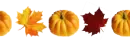 Pumpkin Divider