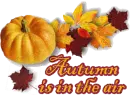Autumn is in the air