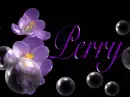 Perry-Flowers-bubbles