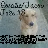 Rosalie\Jacob Joke