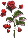 Broken heart, rose