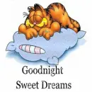 Goodngiht Sweet Dreams