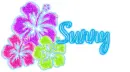 Sunny
