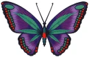 Leaf Butterfly2