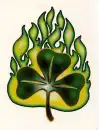 Flaming Clover