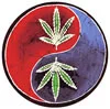 Leaf Ying Yang