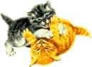 Kittens