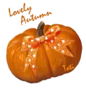 Lovely Autumn Pumpkin
