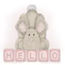 Hello Bunny