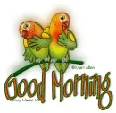 Good Morning LoveBirds