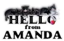 AMANDA Kitties Hello 