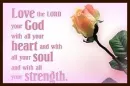 Trust the Lord