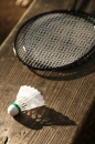 Badminton