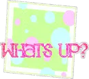 whats up