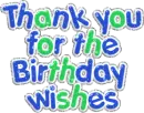 thank you for the birthday wishes