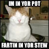 in your pot