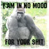 no mood