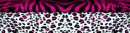 Cheetah/Leopard print Background