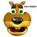 SAY WHAT