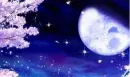 night