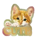 CUTE CAT