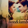 Twilight