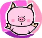 pig