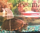 dream.