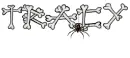 bones tracy spider