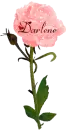 Darlene