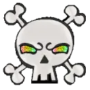 skull