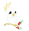 PARROT