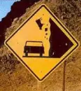 ROFLMAO COW!