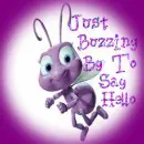 purple bee