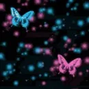butterflies