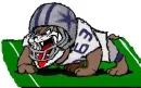 Dallas Cowboys Dog