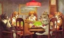Dog poker