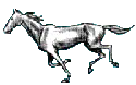 Running Horse